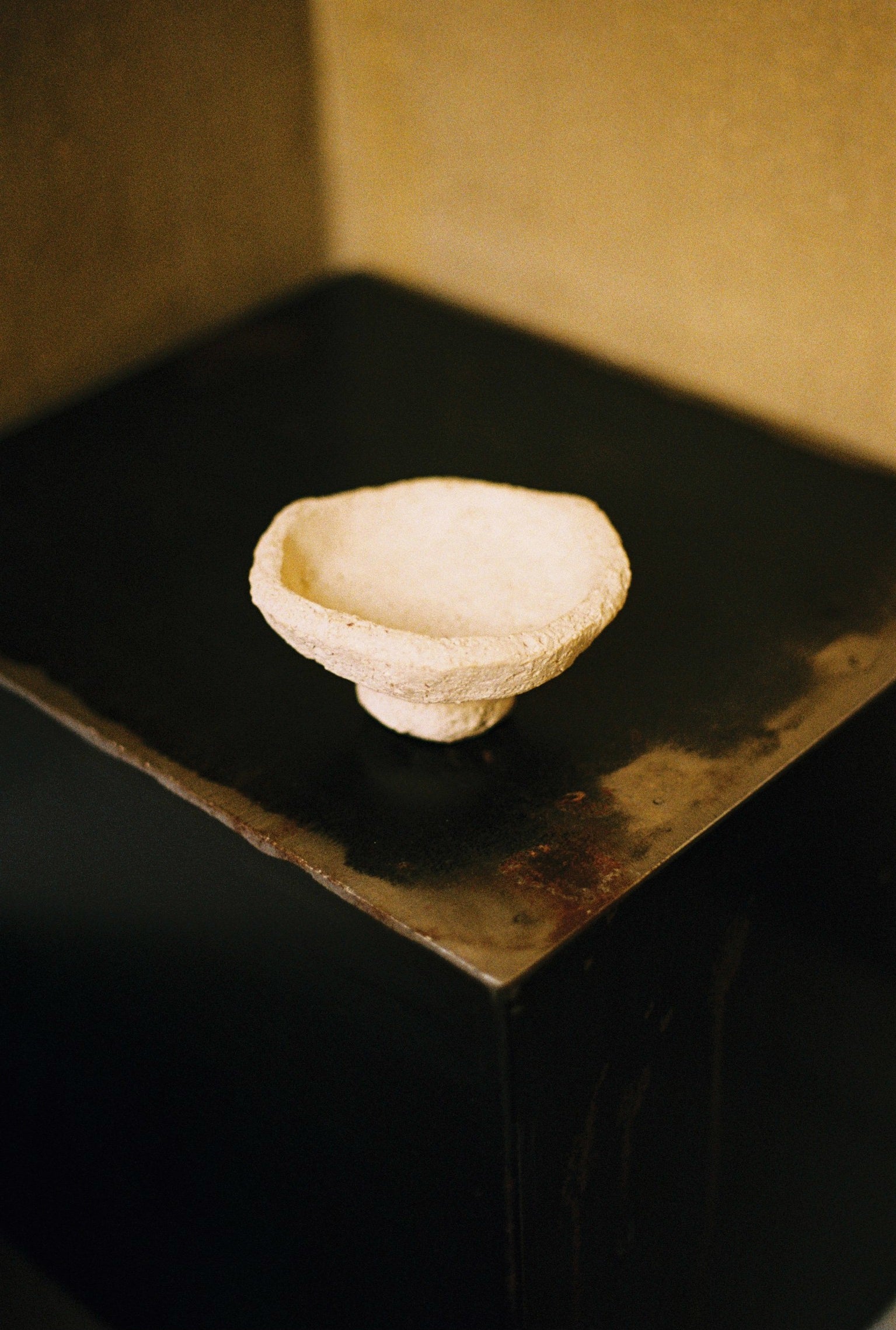 ELEVETED BOWLS