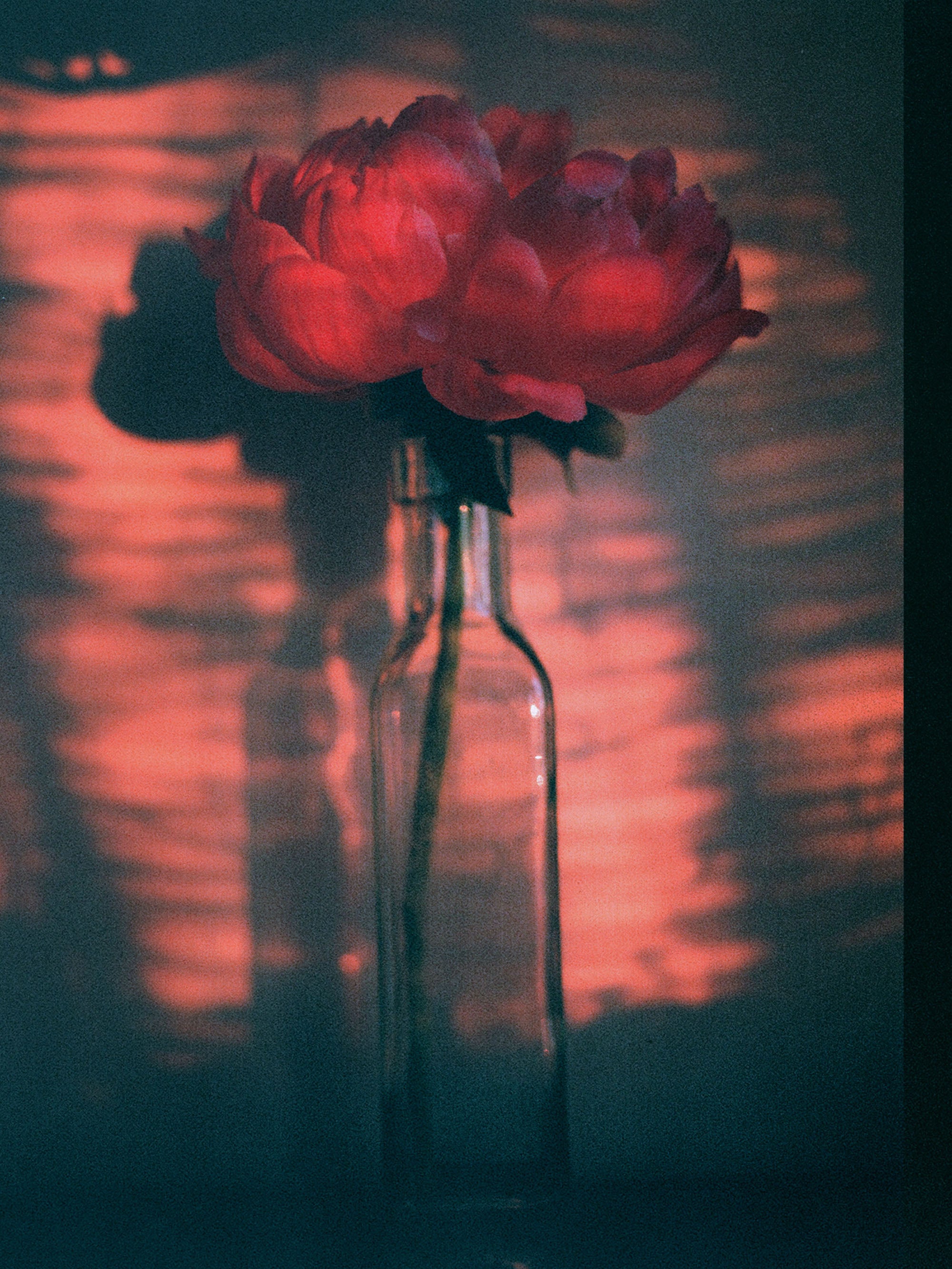 Flower Archive #18