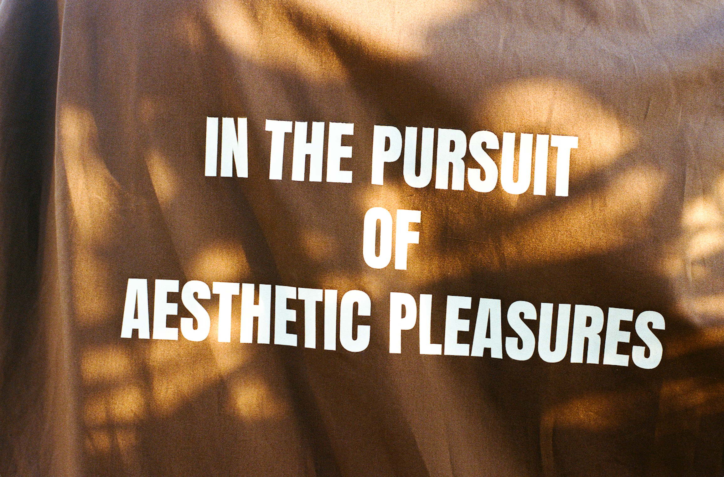 IN THE PERSUIT OF AESTHETICS SHIRT