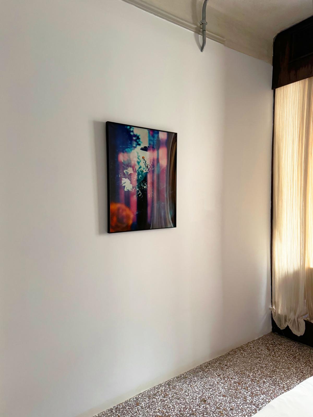 Flower & Light