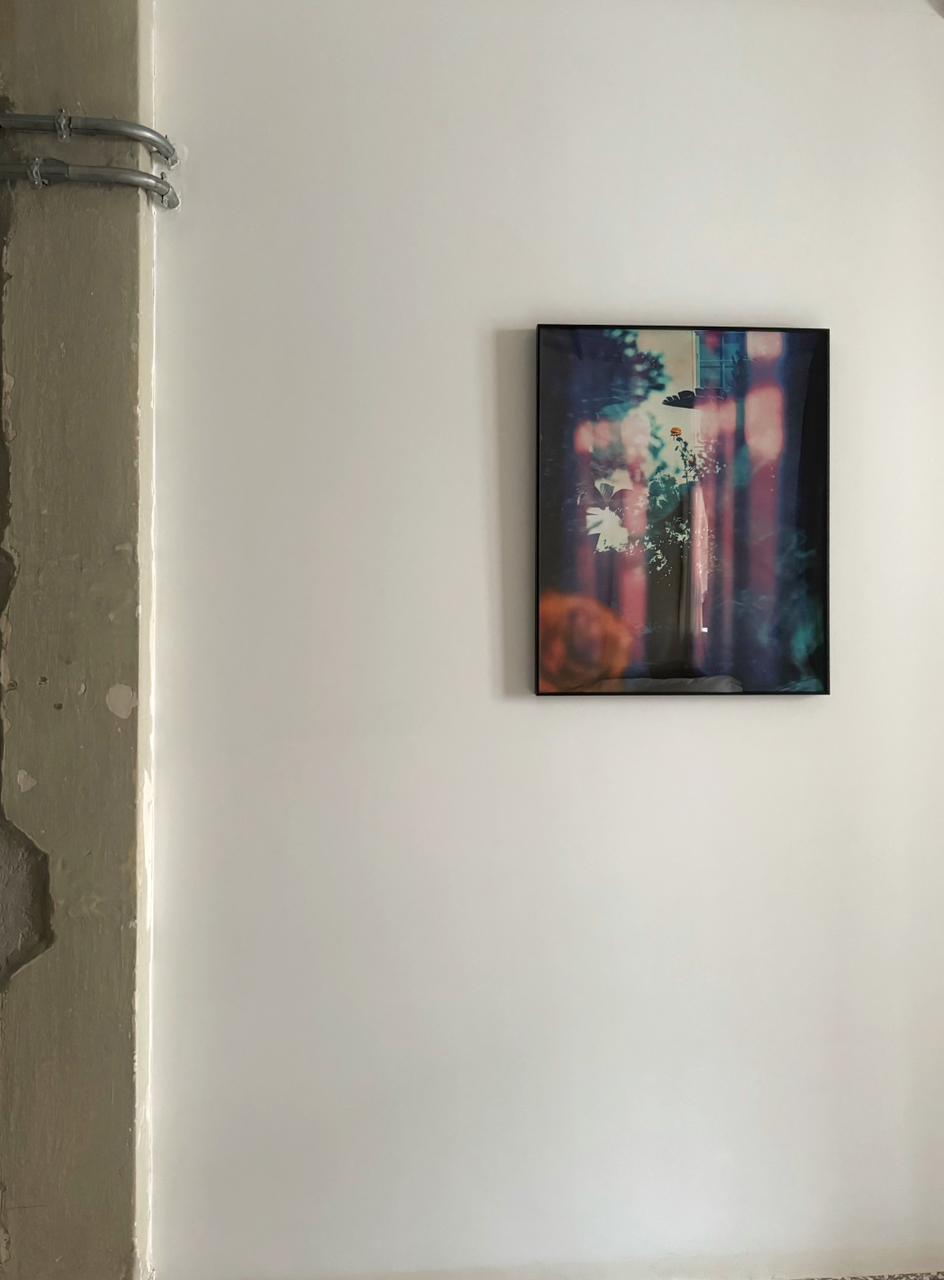 Flower & Light