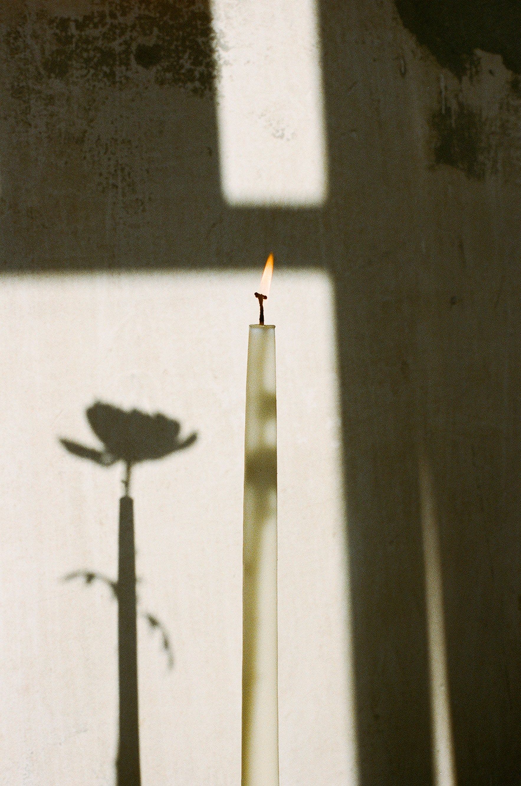 HOS SET OF CANDLES - LARGE