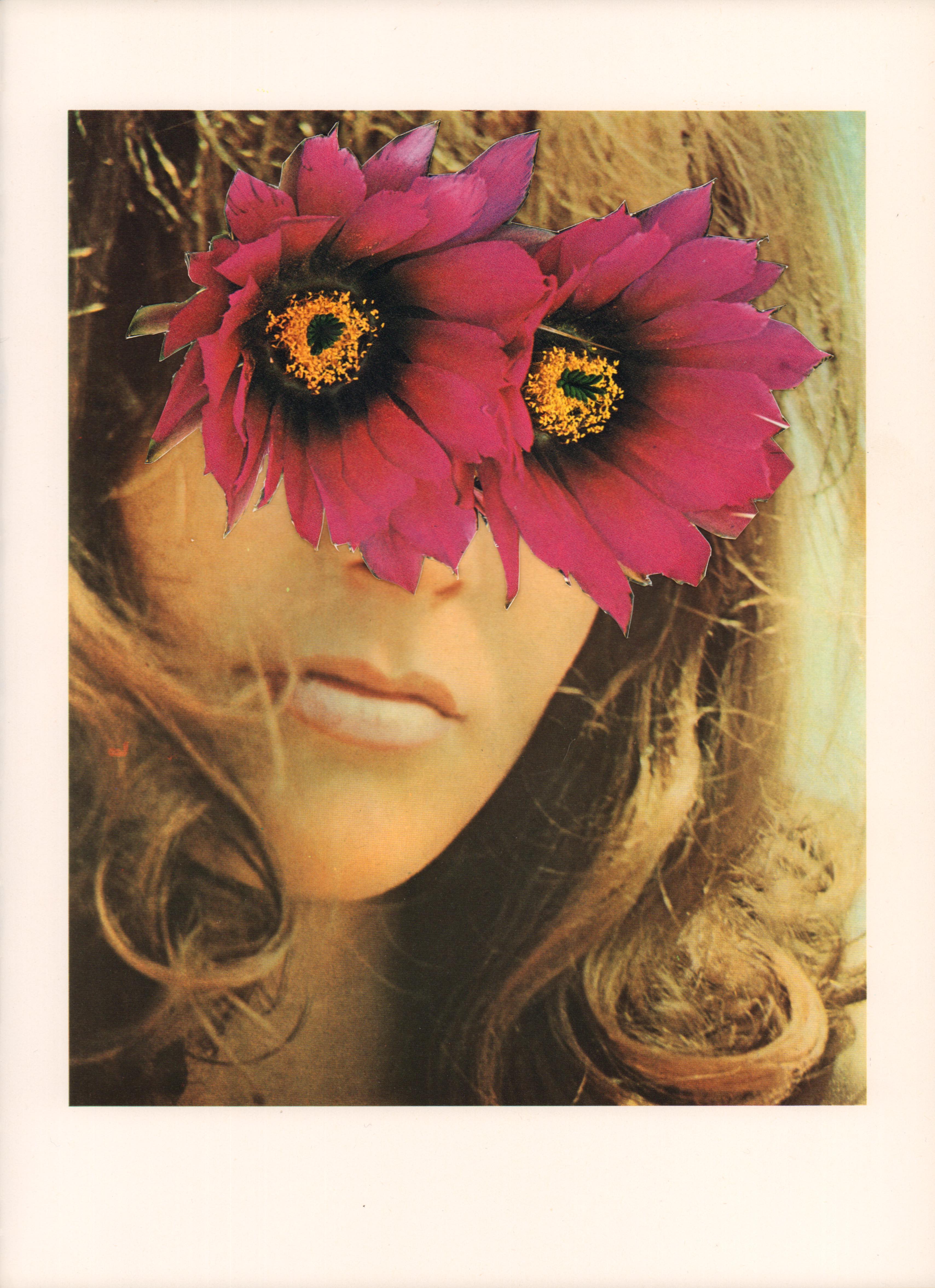 Bloom