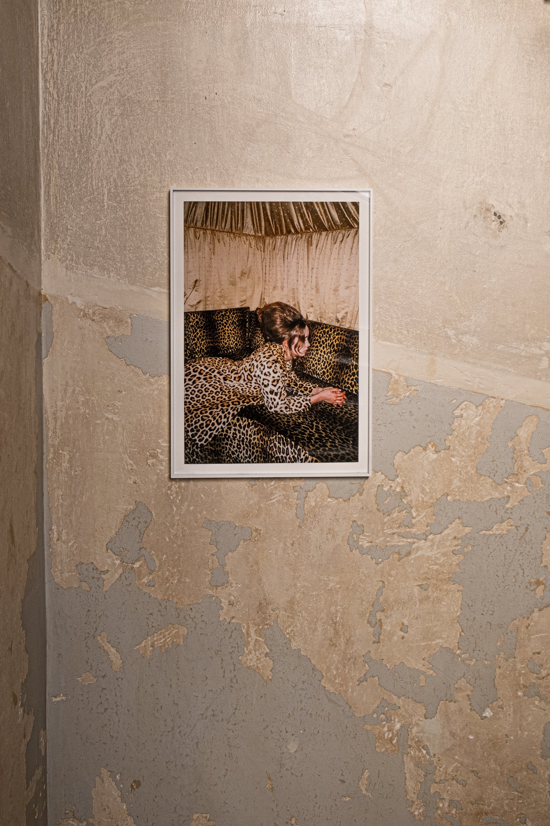 Fanny on Leopard Sofa