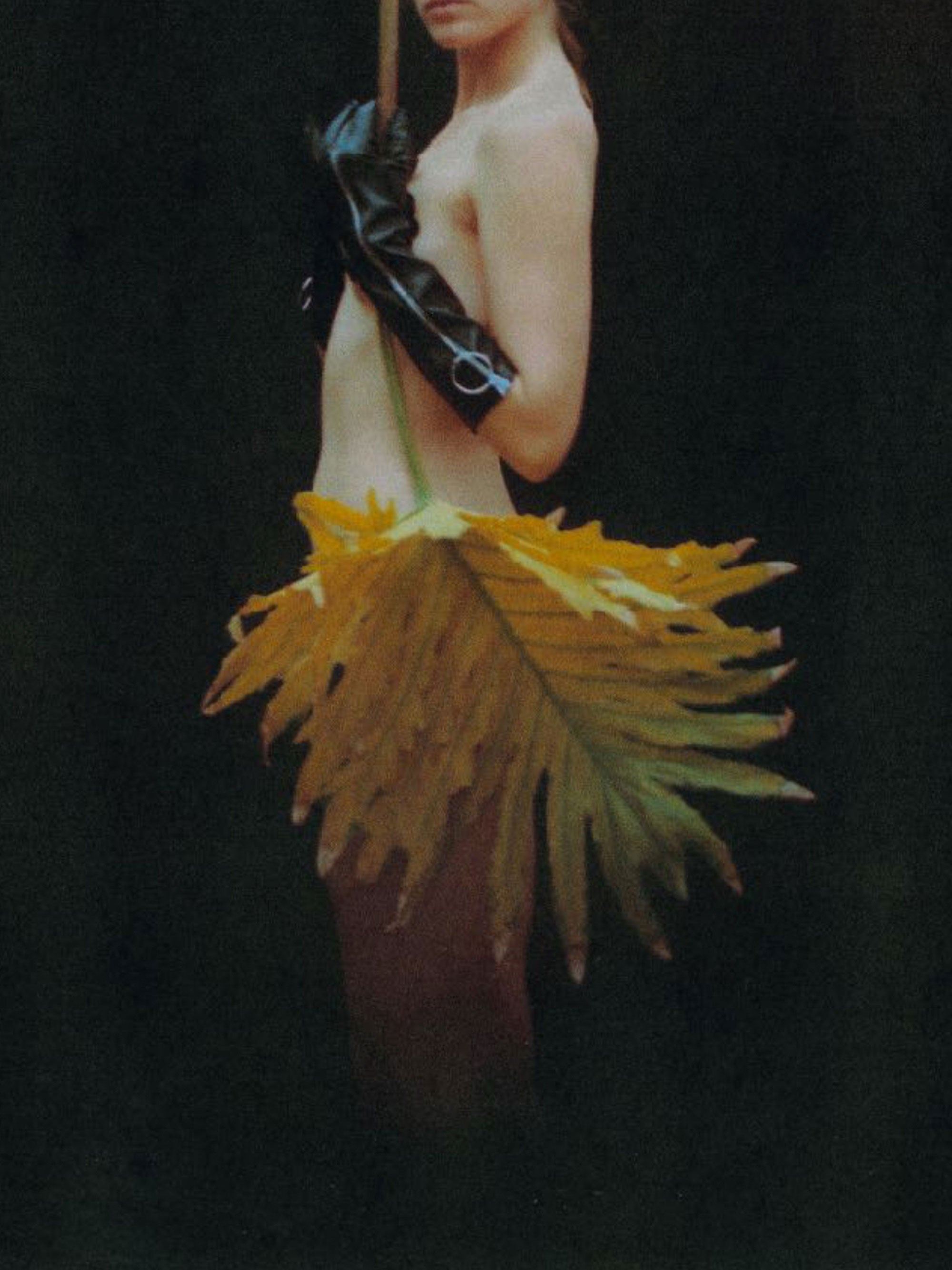 Elektra and the Philodendron