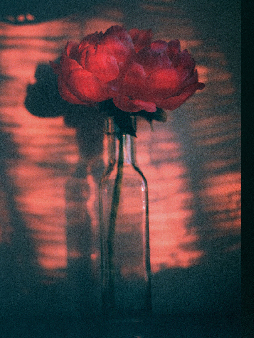 Flower Archive #18