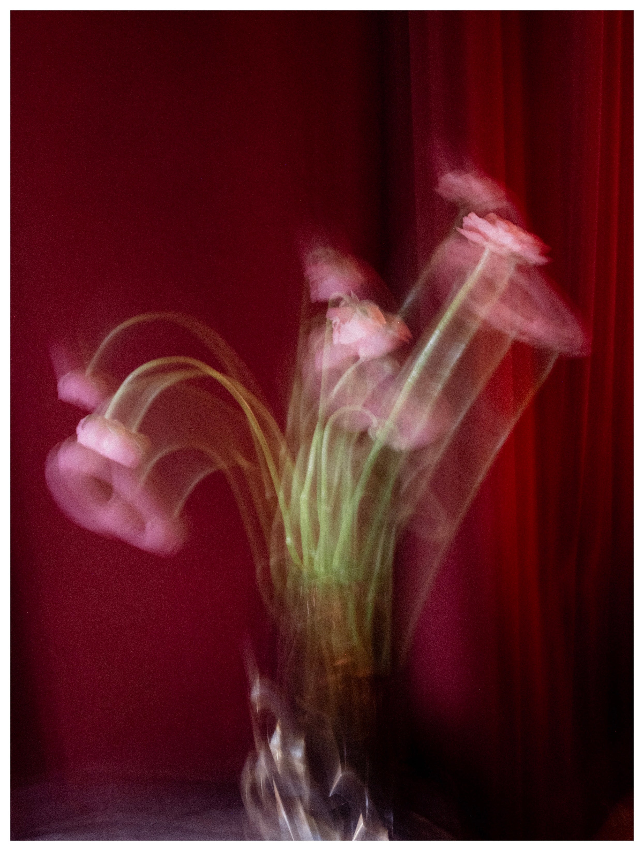 Lynch's Posy