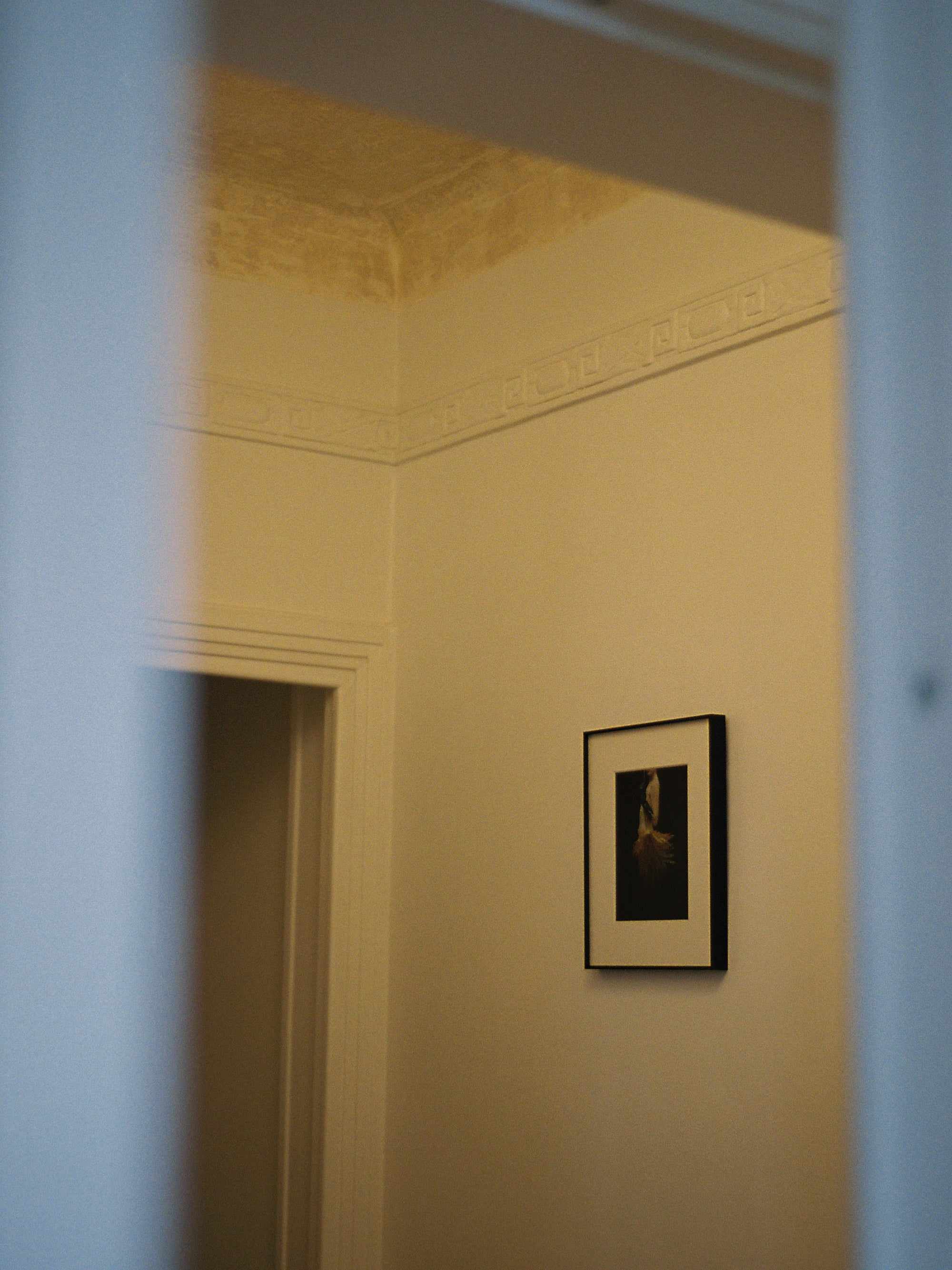 Elektra and the Philodendron