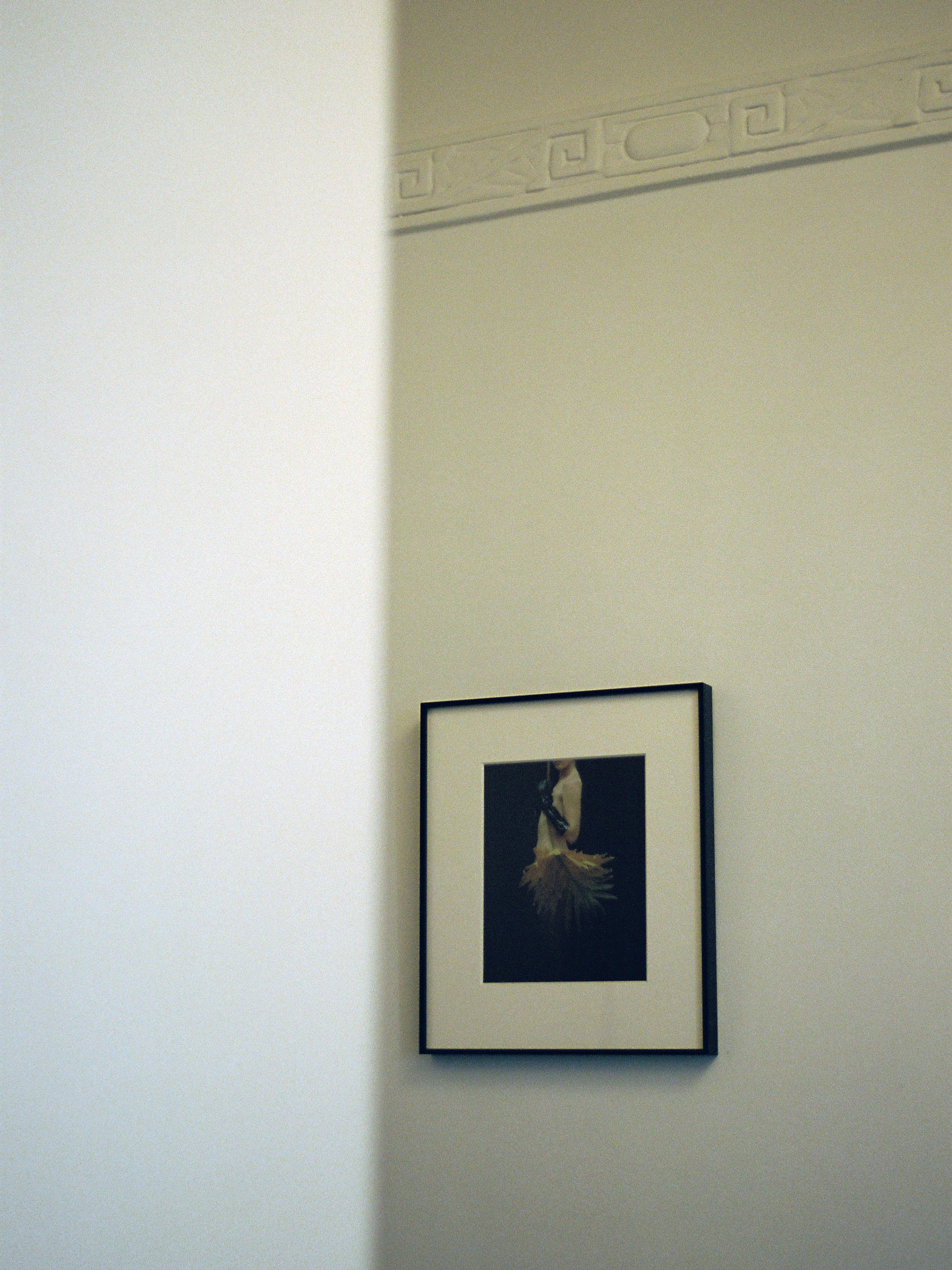 Elektra and the Philodendron