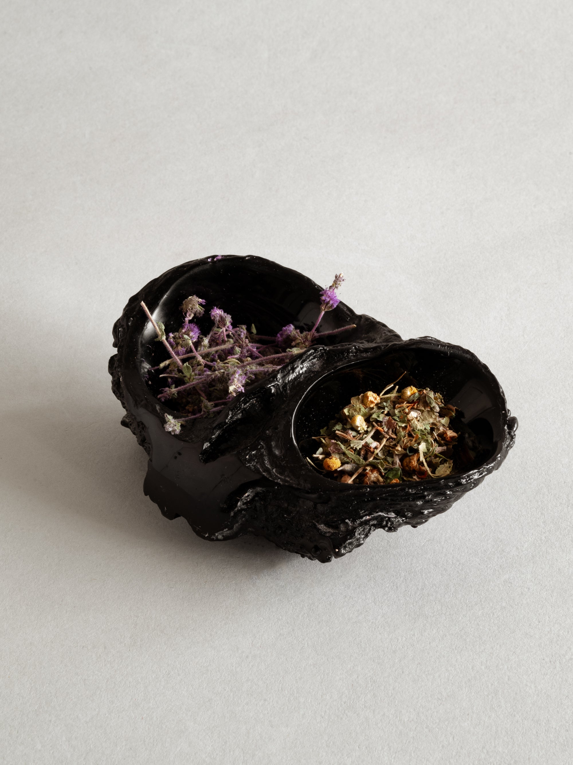 SHELL VESSEL