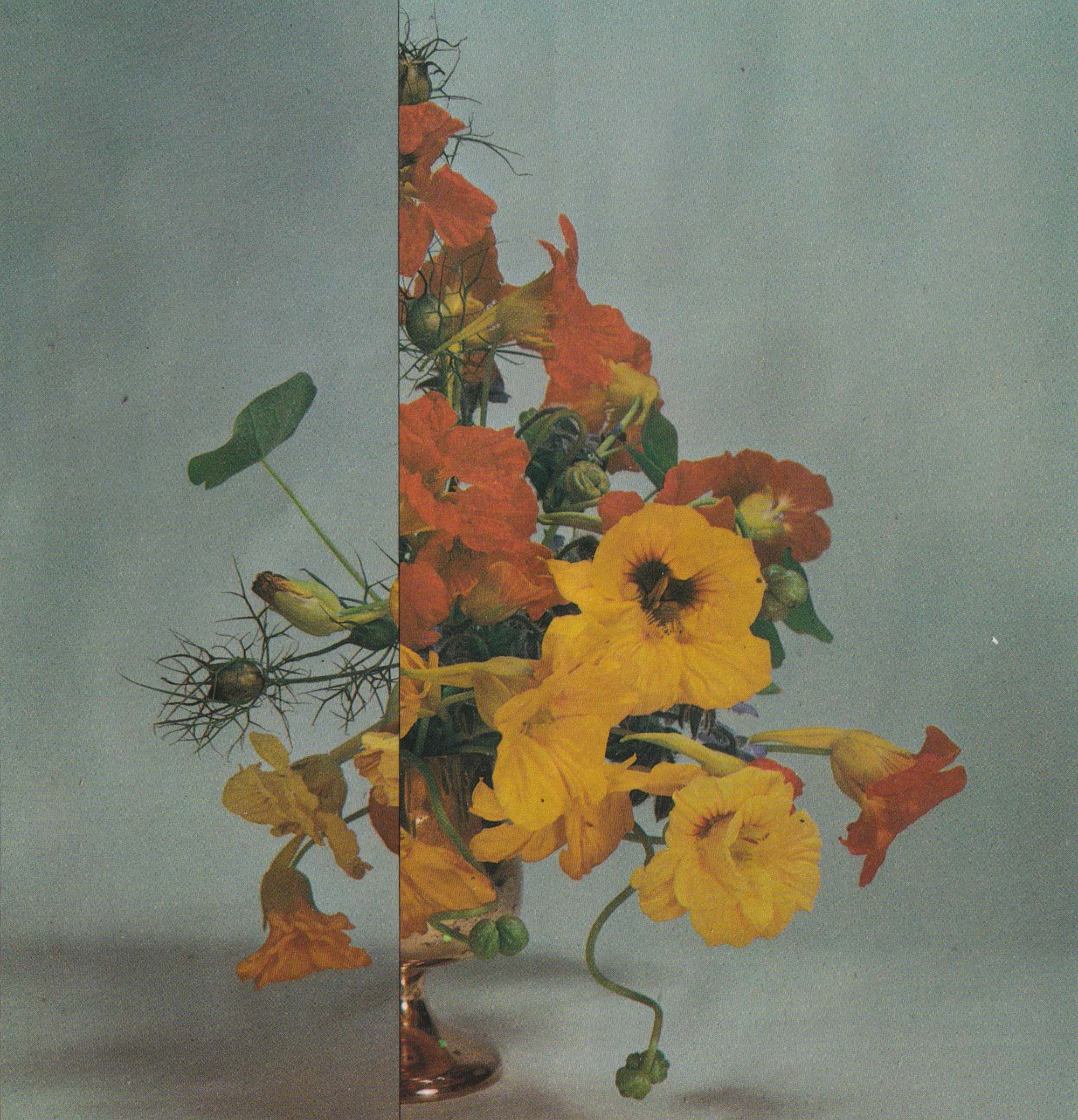 Oi don't fill up on crisps