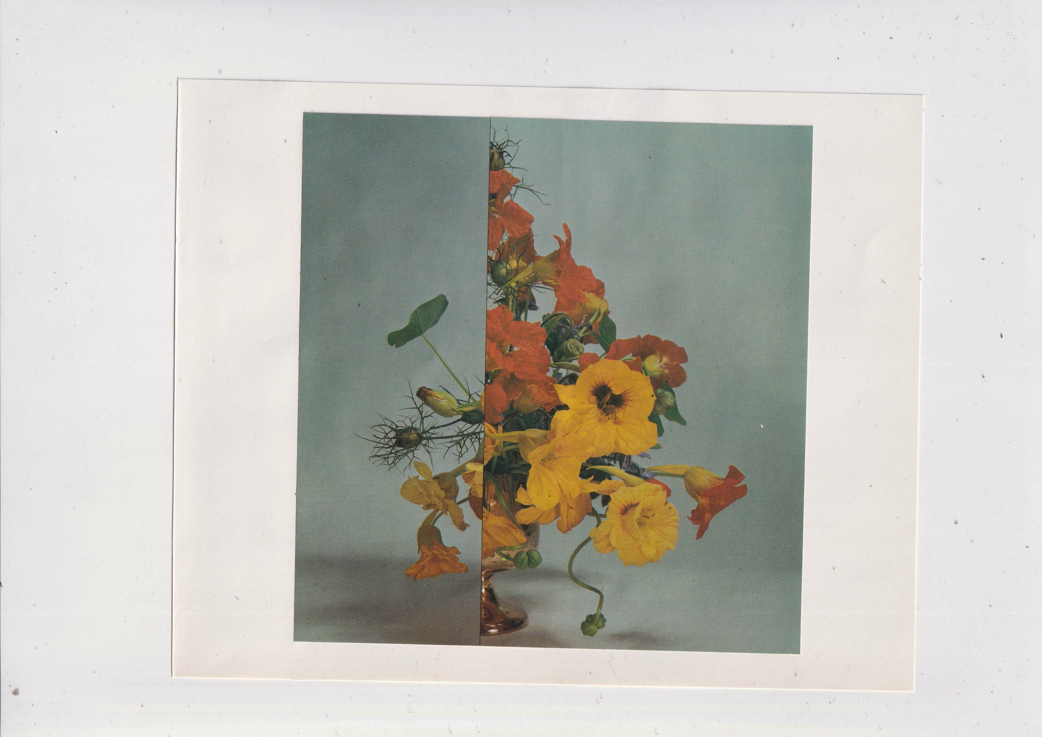 Oi don't fill up on crisps