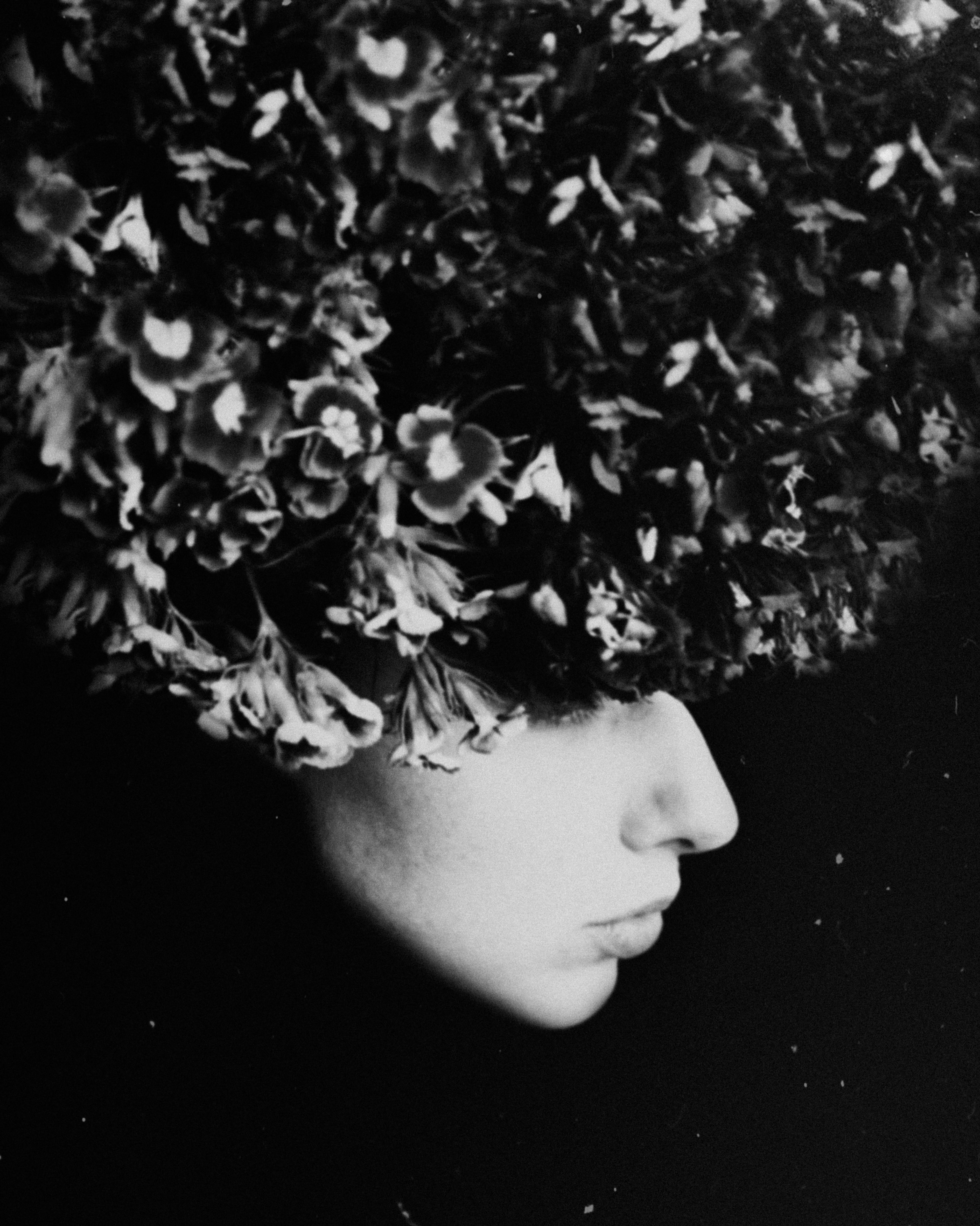 The hat